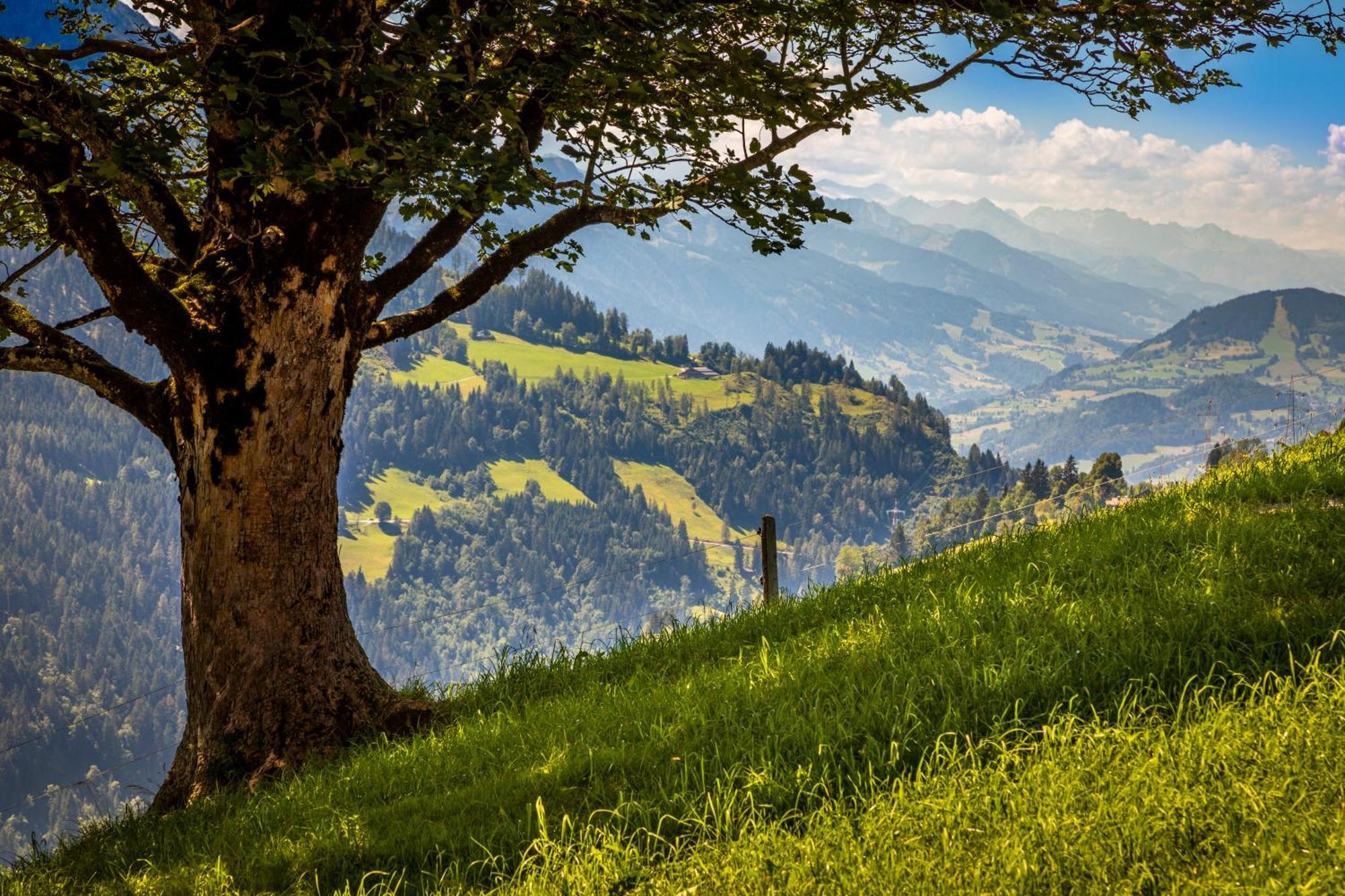 Haus Lindbichl Villa Sankt Johann im Pongau Oda fotoğraf